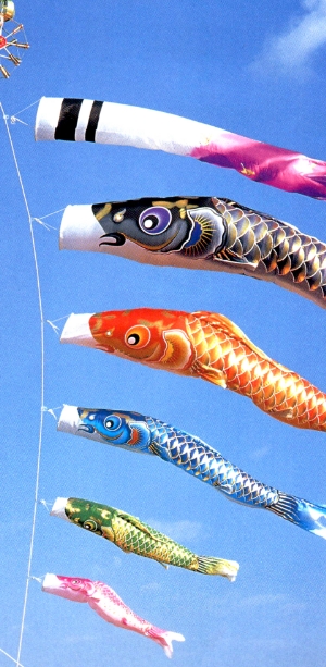 鯉のぼり